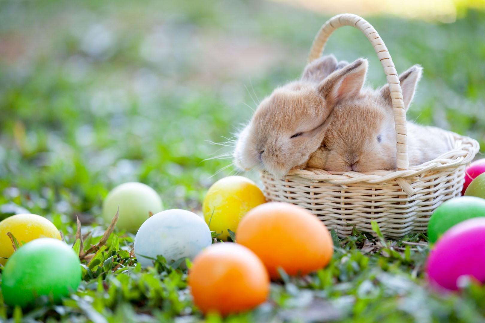 Easter 2021 - 3 nights